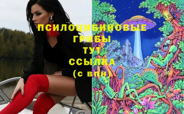сатива Алексеевка