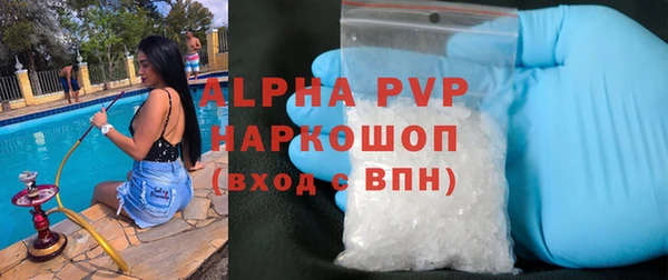 сатива Алексеевка