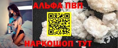 индика Кингисепп