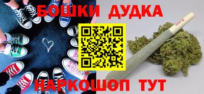 индика Кингисепп
