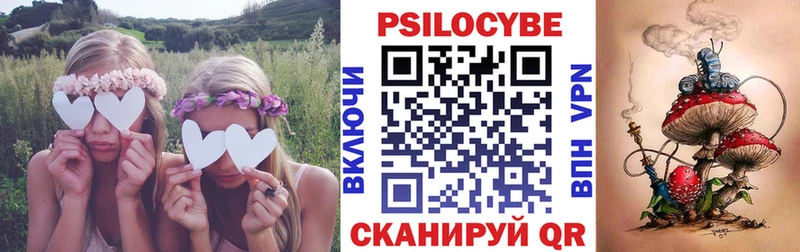 Псилоцибиновые грибы Psilocybe  hydra зеркало  Муравленко 