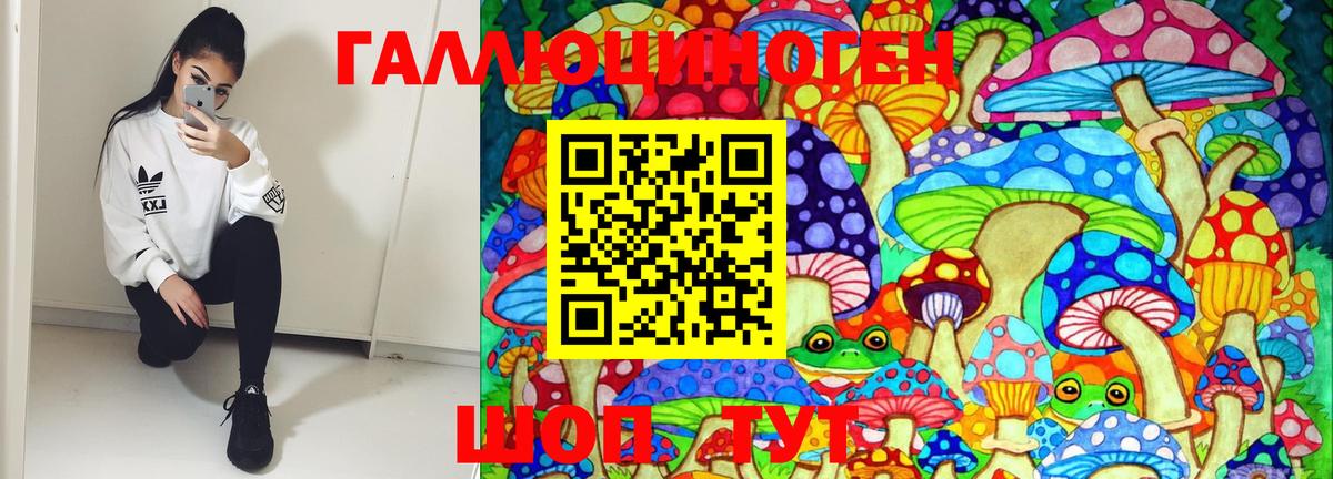 Псилоцибиновые грибы Psilocybe  Вход с VPN  Псилоцибиновые грибы GOLDEN TEACHER  Муравленко 